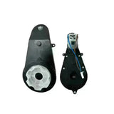 Freddo Horse 6V - Compatible Motor